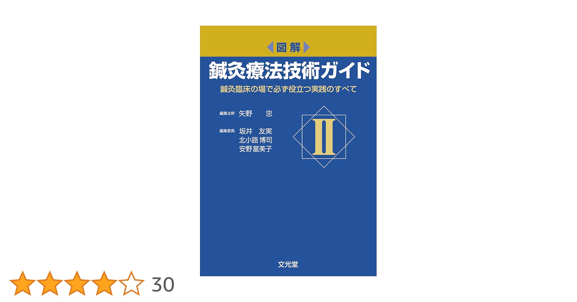 鍼灸療法技術ガイド I・II  2冊セット 図解鍼灸療法技術ガイドII 第2版 臨床の場で役立つ実践のすべて